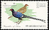 Mikado Pheasant Syrmaticus mikado  1967 Taiwan birds 