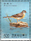 Grey Wagtail Motacilla cinerea  1991 Taiwan stream birds Sheet
