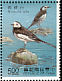 White Wagtail Motacilla alba  1991 Taiwan stream birds Sheet