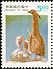 Malayan Night Heron Gorsachius melanolophus  1994 Parent-child relationship 