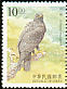 Black Eagle Ictinaetus malaiensis