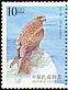 Black Kite Milvus migrans