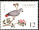 Grey Parrot Psittacus erithacus  1999 National Palace Museums bird manual 
