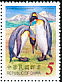 King Penguin Aptenodytes patagonicus  2006 King Penguin 