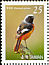 Daurian Redstart Phoenicurus auroreus  2007 Birds 