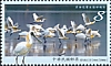Great Egret Ardea alba  2020 Taijiang national park 4v set