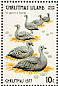 Cape Barren Goose Cereopsis novaehollandiae  1977 Christmas 12v sheet, no wmk