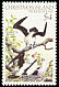 Abbott's Booby Papasula abbotti  1982 Birds definitives 