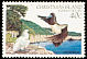 Brown Booby Sula leucogaster  1982 Birds definitives 