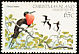 Christmas Frigatebird Fregata andrewsi  1982 Birds definitives 