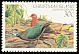 Common Emerald Dove Chalcophaps indica  1983 Birds definitives 