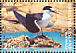 Sooty Tern Onychoprion fuscatus