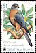 Brown Goshawk Accipiter fasciatus  2002 WWF 