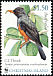 Island Thrush Turdus poliocephalus  2002 WWF 