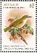 Christmas White-eye Zosterops natalis  2018 John Gerrard Keulemans Sheet