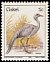 Blue Crane Grus paradisea  1981 Birds 