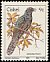 Black Cuckoo Cuculus clamosus  1981 Birds 