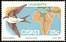Common House Martin Delichon urbicum  1984 Migratory birds 