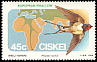 Barn Swallow Hirundo rustica  1984 Migratory birds 