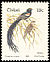 Long-tailed Widowbird Euplectes progne  1989 Birds 