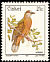 Lemon Dove Columba larvata  1990 Birds 