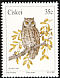 African Scops Owl Otus senegalensis  1991 Owls 