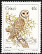 Western Barn Owl Tyto alba  1991 Owls 