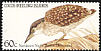 Nankeen Night Heron Nycticorax caledonicus