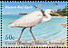 Pacific Reef Heron Egretta sacra  2003 Shoreline birds Strip