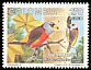 Toucan Barbet Semnornis ramphastinus  1994 Birds 