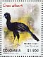 Blue-billed Curassow Crax alberti  2010 Endangered birds Sheet