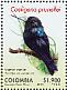 Black Inca Coeligena prunellei  2010 Endangered birds Sheet