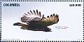 Black-and-chestnut Eagle Spizaetus isidori  2016 Quindio 2v sheet