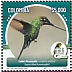 Sword-billed Hummingbird Ensifera ensifera  2021 Risaralda 2021 15v sheet