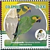 Yellow-eared Parrot Ognorhynchus icterotis