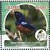 Chestnut-bellied Flowerpiercer Diglossa gloriosissima  2021 Risaralda 2021 15v sheet