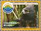 Black-and-chestnut Eagle Spizaetus isidori