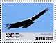 Andean Condor Vultur gryphus