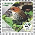 Chestnut-crowned Antpitta Grallaria ruficapilla  2023 Ornithological Society of Caldas, 70 years Sheet