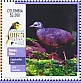 Little Tinamou Crypturellus soui