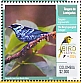 Beryl-spangled Tanager Tangara nigroviridis
