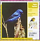Blue-and-black Tanager Tangara vassorii