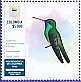 Humboldt's Sapphire Chrysuronia humboldtii
