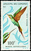 Olive Bee-eater Merops superciliosus  1967 Birds 