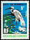 Great Egret Ardea alba  1971 Birds 