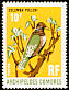 Comoros Olive Pigeon Columba pollenii  1971 Birds 