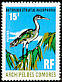 Striated Heron Butorides striata  1971 Birds 