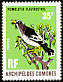 Humblot's Flycatcher Humblotia flavirostris  1971 Birds 