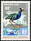Allen's Gallinule Porphyrio alleni  1971 Birds 