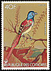 Malagasy Paradise Flycatcher Terpsiphone mutata  1978 Birds 